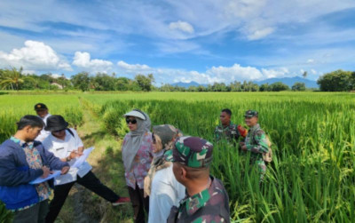 uploads/news/2024/03/lampung-dijadikan-sentra-beras--76839f3543d7191_400.jpg