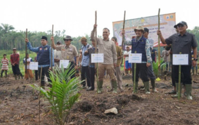 uploads/news/2024/03/optimalkan-lahan-perkebunan-demi-6512646b2e7dc72_400.jpg