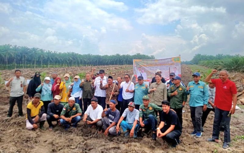 uploads/news/2024/03/pemanfaatan-lahan-sawit-dengan-4506596271485fd.jpg