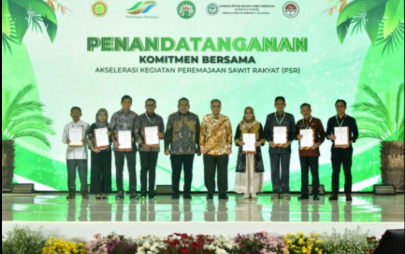 uploads/news/2024/03/pertanaman-padi-gogo-tumpang-68863bfcb7ab3a9.jpg