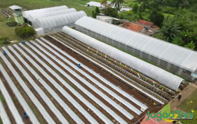 uploads/news/2024/03/peternakan-makin-terancam-perumahan-839355eaa0f68c7_400.jpg