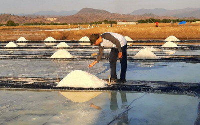 uploads/news/2024/03/produksi-garam-nasional-meningkat--44838d918777694_400.jpeg