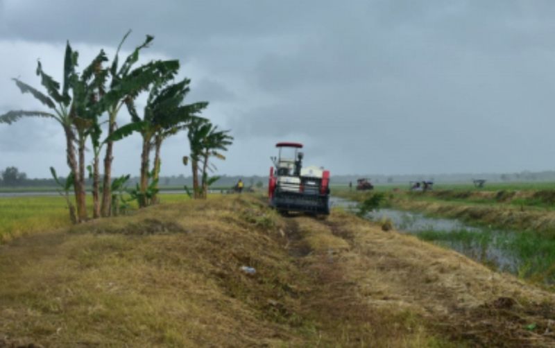uploads/news/2024/04/500ribu-ha-sawah-mulai-68092793d63fdf2.jpg
