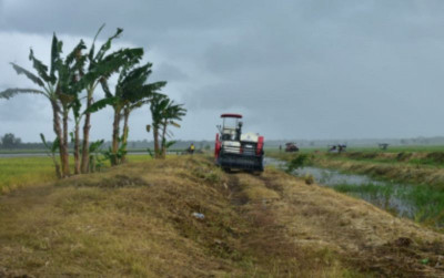 uploads/news/2024/04/500ribu-ha-sawah-mulai-68092793d63fdf2_400.jpg