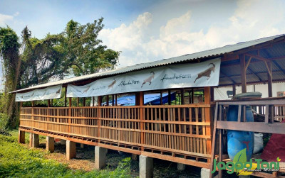 uploads/news/2024/04/akandra-farm-peternakan-kambing-93085ca6f7f793a_400.jpg