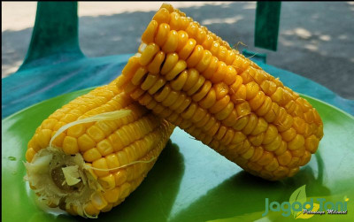 uploads/news/2024/04/bekal-mudik-penunda-lapar-98911c79f9659dc_400.jpg