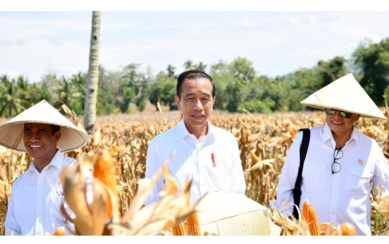 uploads/news/2024/04/hadiri-panen-jagung-jokowi-341185e1aced614.jpg