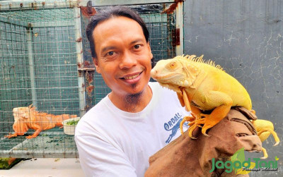 uploads/news/2024/04/hobi-budidaya-iguana-jadi-799672d5f3e605a_400.jpg