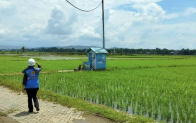 uploads/news/2024/04/listrik-masuk-sawah-demi-94119a4c65df0e4_400.jpg