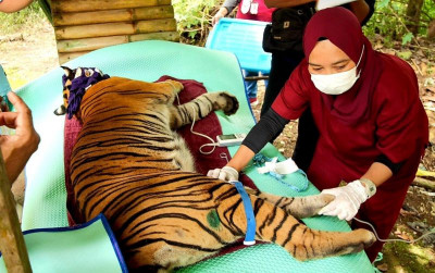 uploads/news/2024/04/para-kartini-penyelamat-satwa-9318452fc7ed34d_400.jpg