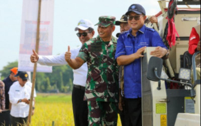 uploads/news/2024/04/pengembangan-vub-padi-ipb-493968282affd9b_400.jpg
