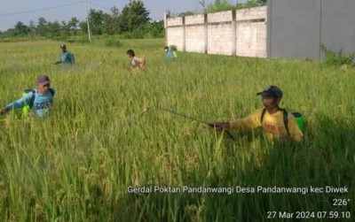 uploads/news/2024/04/petani-jombang-lakukan-pengendalian-34039ecf20d920a_400.jpg