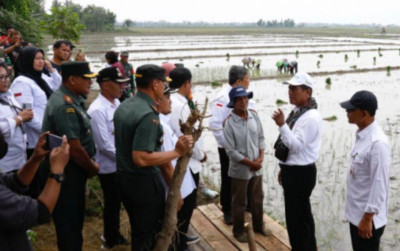 uploads/news/2024/04/produksi-beras-jateng-tembus-387800f848e6dc9_400.jpg