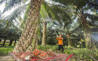 uploads/news/2024/04/relaksasi-bphtb-dalam-mendukung-89760925a35166b_400.jpg
