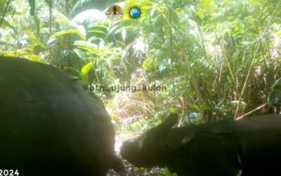 uploads/news/2024/04/satu-individu-baru-anak-393241fd70c5ea9_400.jpg