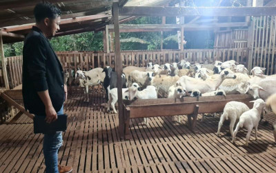 uploads/news/2024/05/buka-sekolah-petani-milenial--57053b7726452fc_400.jpg