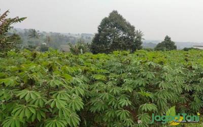 uploads/news/2024/05/keresahan-petani-tadah-hujan-31814b0bf225e70_400.jpg
