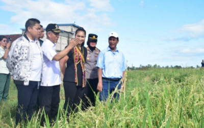 uploads/news/2024/05/mentan-pastikan-bantuan-pertanaman-862332ed1bf5ee5_400.jpg