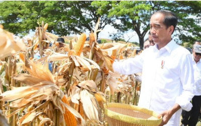uploads/news/2024/05/panen-jagung-sumbawa-jokowi-260426fc1fa8595_400.jpg