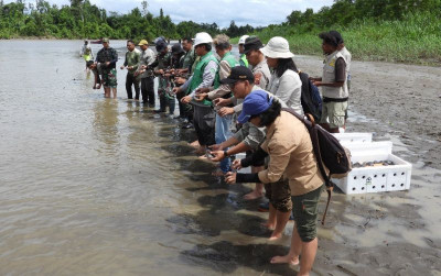 uploads/news/2024/05/pelepasan-kura-kura-moncong-babi-83308659d477d6e_400.jpg