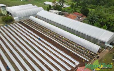 uploads/news/2024/05/smart-greenhouse-inovasi-dengan-197457e4ed863f5_400.jpg