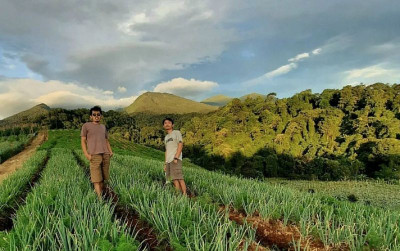 uploads/news/2024/05/sukses-jadi-petani-setelah-18364d138926bbe_400.jpg