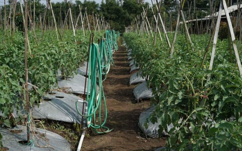 uploads/news/2024/05/sumedang-siap-laksanakan-proyek-480700014a54fcb.jpeg
