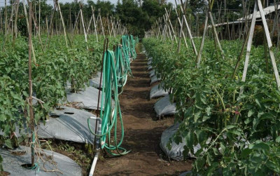 uploads/news/2024/05/sumedang-siap-laksanakan-proyek-480700014a54fcb_400.jpeg