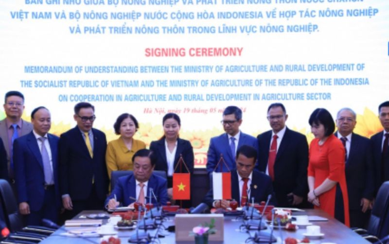uploads/news/2024/05/terapkan-teknologi-lahan-rawa--15776d9ce95b97c.jpg