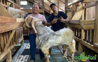 uploads/news/2024/05/zyan-farm-sediakan-kambing-703282359f5e15a_400.jpg