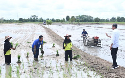 uploads/news/2024/06/atasi-kekeringan-jokowi-tinjau-2606495f918d7ac_400.jpeg