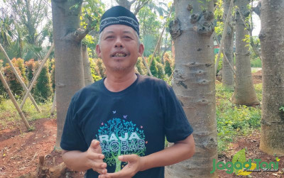 uploads/news/2024/06/budidaya-pohon-kaki-gajah--49534414628db4c_400.jpg