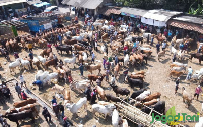 uploads/news/2024/06/harga-hewan-kurban-naik--844916f934656b2_400.jpg