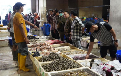 uploads/news/2024/06/ikan-bermutu-hal-terpenting-158327f21daa30d_400.jpeg