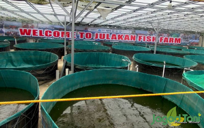 uploads/news/2024/06/julakan-fish-farm-sediakan-883579b665a4050_400.jpg