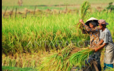 uploads/news/2024/06/musim-kemarau-pat-di-32613d66b813fd7_400.jpg