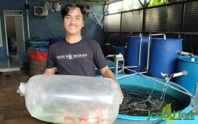 uploads/news/2024/06/sukses-bisnis-ikan-koi-855272829dcecc2_400.jpg