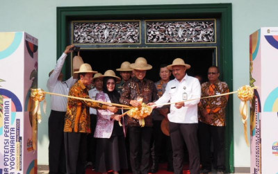 uploads/news/2024/06/tanda-daftar-varietas-mangga-82791a6599c905e_400.jpeg
