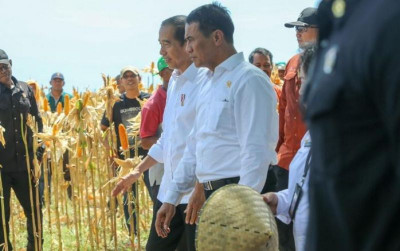 uploads/news/2024/06/umkm-pertanian-menjadi-tulang-267884bbcd456ba_400.jpg