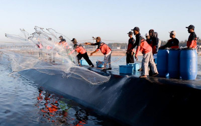 uploads/news/2024/07/asian-pacific-aquaculture-siap-diramaikan-48519b289e0916f_400.jpg