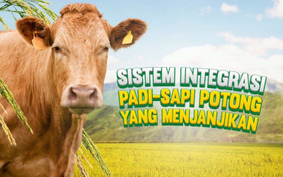 uploads/news/2024/07/sistem-integrasi-padi--8693123a2cbe273_400.jpeg