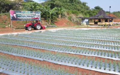 uploads/news/2024/07/urban-farming-kodim-0508-453098f837534b7_400.jpg