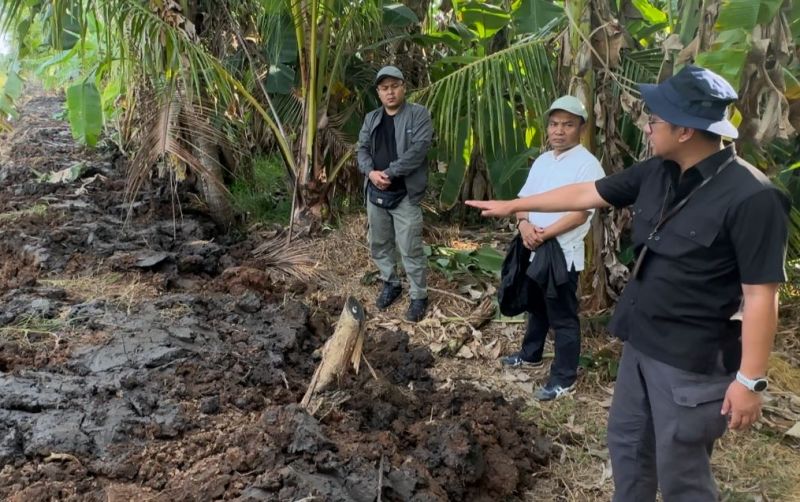uploads/news/2024/09/kalimantan-tengah-kejar-swasembada-64446559fd28d8a.jpg