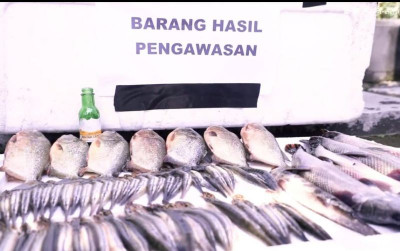 uploads/news/2024/09/penyebab-kkp-melarang-ikan-386753bd5ae8ce4_400.jpg