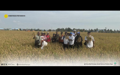 uploads/news/2024/10/bsip-papua-dampingi-proses-17533edcea1bbde_400.png