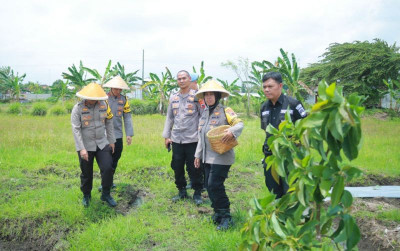 uploads/news/2024/11/-polisi-cek-lahan-ketahanan-812531ae85f0ac1_400.jpg