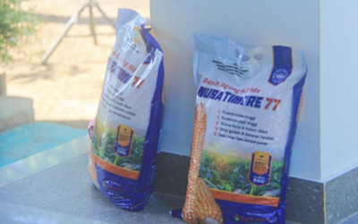 uploads/news/2024/11/benih-jagung-hibrida-nusa-82281a89fba1378_400.jpg