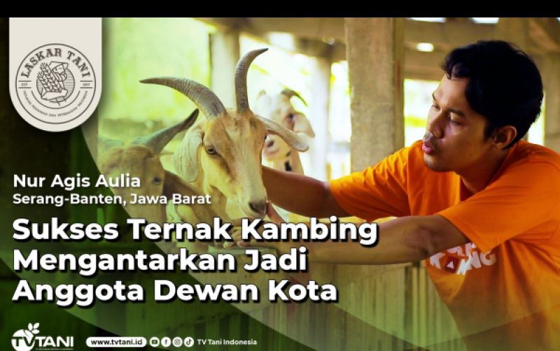 uploads/news/2024/11/sukses-ternak-kambing-kini-647738c9dca4374.jpeg
