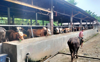 uploads/news/2024/12/aceh-berkomitmen-dukung-swasembada-6362651813feaca_400.jpg