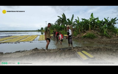 uploads/news/2024/12/bsip-papua-dampingi-brigade-236865b47a0cb12_400.png